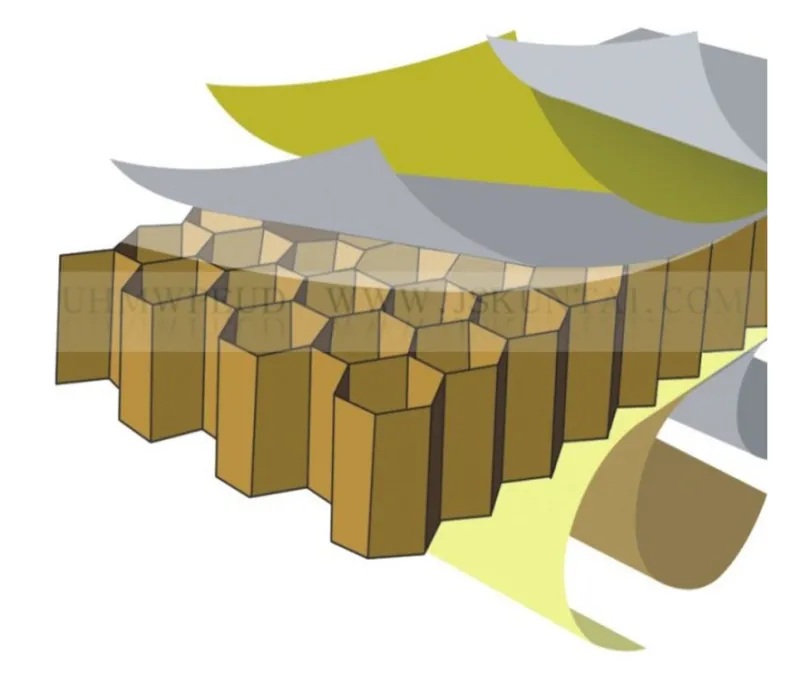 double belt application1